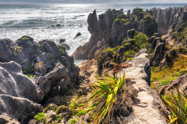 Paparoa Ulusal Parkı 'ndaki Punakaiki Krep Kayaları, Batı Yakası, Güney Adası, Yeni Zelanda.
