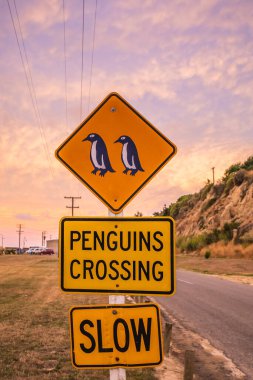 Penguen geçidi işareti Yeni Zelanda 'nın Güney Adası' ndaki Oamaru 'da. Omaru mavi penguene ev sahipliği yapıyor..