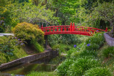 Oamaru Botanik Bahçeleri 'ndeki Köprü, Yeni Zelanda.