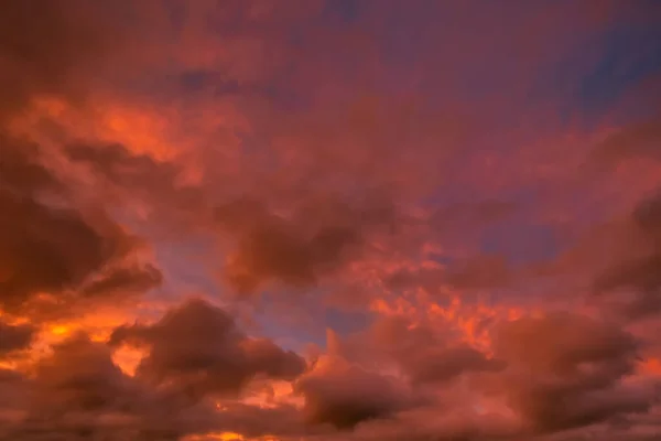Céu Pôr Sol Oamaru Ilha Sul Nova Zelândia Omaru Lar — Fotografia de Stock