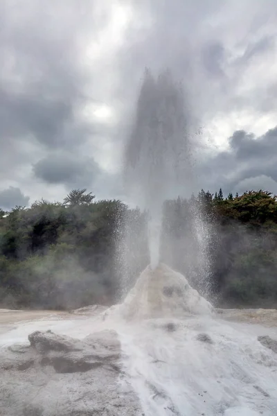 Lady Knox Geyser Wai Tapu Thermal Wonderland Rotorua New Zealand — Stock Photo, Image
