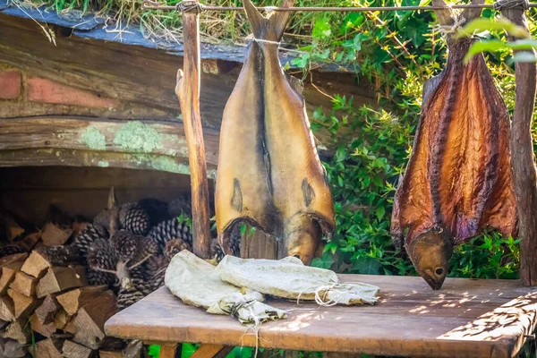 Droge Vis Hobbiton Nieuw Zeeland Plek Waar Hobbits Hun Holen — Stockfoto