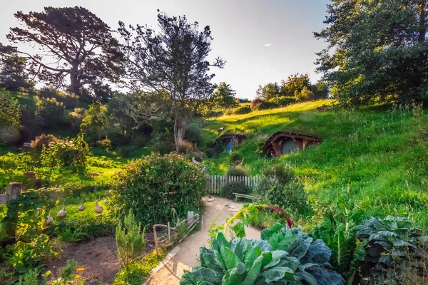 Hobbiton Landschaft Neuseeland Der Ort Dem Hobbits Ihren Löchern Leben — Stockfoto