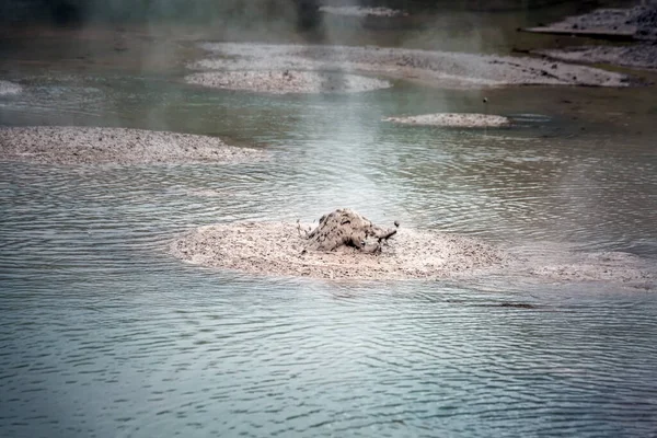 Wrzący Basen Błotny Wai Tapu Termalnej Krainie Czarów Rotorua Nowa — Zdjęcie stockowe