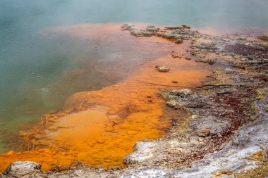 Wai-O-Tapu 'da şampanya havuzu termal harikalar diyarı, Rotorua, Yeni Zelanda.
