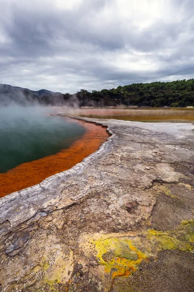 Piscine Champagne Pays Des Merveilles Thermales Wai Tapu Rotorua Nouvelle — Photo