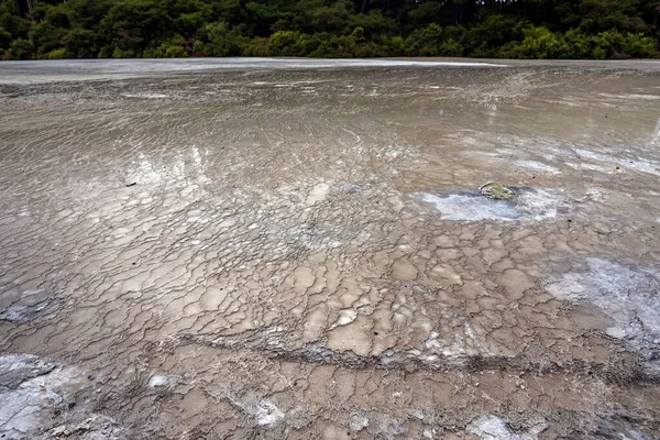 Озеро Нгакоро Вай Тапу Термальне Диво Роторуа Нова Зеландія — стокове фото