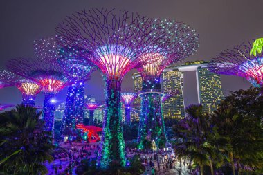 Singapur Körfezi 'ndeki Gardens' taki Supertree Grove 'un gece manzarası. 101 hektarlık bir alana yayılan SuperTree Grove, Singapur 'da Blue Night Sky' ın altında parlak bir şekilde kapanıyor. Singapur - Singapur: 30 Mart 2017.
