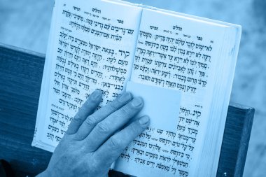 Yahudi ibadet edenin eli dua eder ve Ağlama Duvarı 'nın yanında İbranice yazılmış kitabı okur. Dindar Yahudiler, Batı Duvarı yakınlarında Şabat 'ı kutluyor. Kudüs, İsrail. Mavi tonlama. Kudüs, İsrail - 19 Nisan 2018