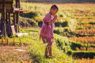 Çocuk Doi Inthanon Ulusal Parkı 'nda kayıp bir topu arıyor. Chiang Mai, Tayland - 10 Kasım 2017.