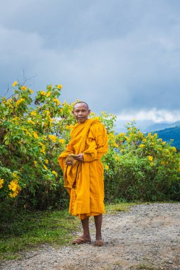 Rahipler Doi Inthanon parkına ayçiçeklerinin açtığını görmeye gelirler. Chiang Mai, Tayland - 11 Kasım 2017.