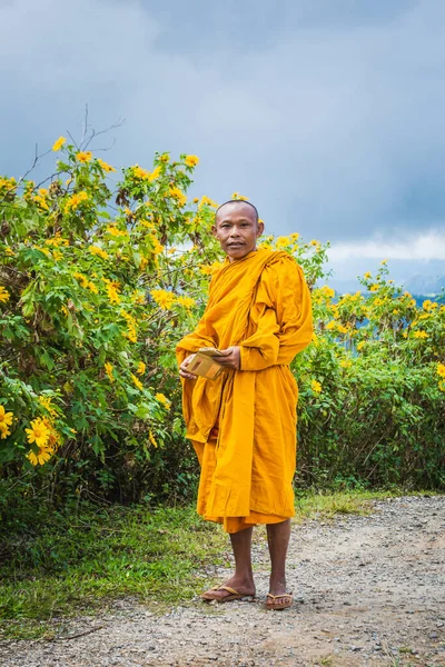 Des Moines Viennent Voir Des Tournesols Fleurir Parc Doi Inthanon — Photo