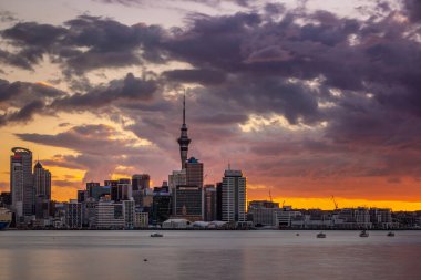 Auckland City, şehir merkezi ve Yeni Zelanda 'nın ikonik simgesi Auckland Sky Tower ile birlikte gün batımından sonra ufuk çizgisi üzerindedir. Auckland, Yeni Zelanda - 17 Aralık 2017.