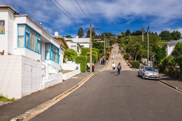 Baldwin Caddesi Dunedin Otago Yeni Zelanda Daki Dünyanın Dik Caddesi — Stok fotoğraf