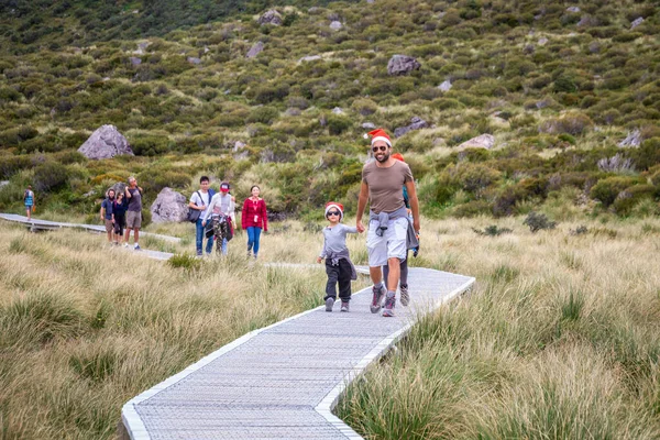 Caminhando Longo Trilha Hooker Valley Mount Cook Nova Zelândia Mount — Fotografia de Stock