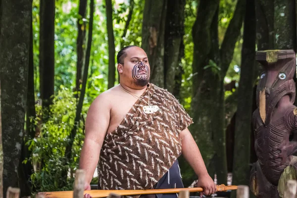 Maori Kabileleri Geleneksel Karşılama Gösterisi Rotorua Kasabası Civarında Maori Ler — Stok fotoğraf