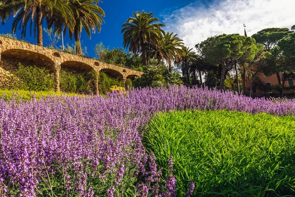 Вид Парк Барселоны Испания Парк Общественный Парк Состоящий Садов Мозаики — стоковое фото