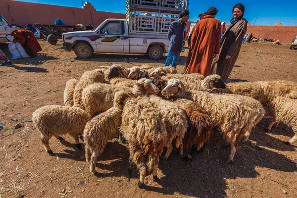 Vendedores Compradores Camelos Mercado Camelos Guelmim Guelmim Marrocos Abril 2016 — Fotografia de Stock