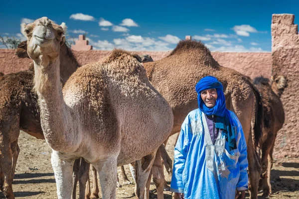 Berber Traditioneller Kleidung Und Turban Besitzer Von Kamelen Auf Dem — Stockfoto