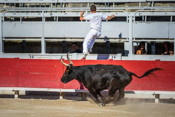 Giochi Tradizionali Arles Uomini Che Corrono Combattono Contro Toro Della — Foto Stock