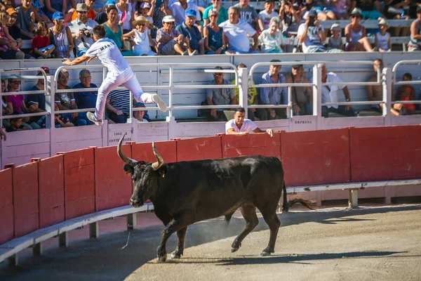 Giochi Tradizionali Arles Uomini Che Corrono Combattono Contro Toro Della — Foto Stock