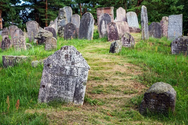 Cmentarz Żydowski Żydzi Getta Zostali Zebrani Pobliżu Rzeki Druyki Rozstrzelani — Zdjęcie stockowe