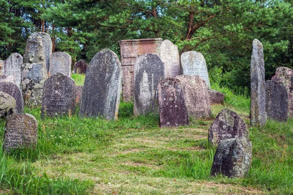 Cmentarz Żydowski Żydzi Getta Zostali Zebrani Pobliżu Rzeki Druyki Rozstrzelani — Zdjęcie stockowe