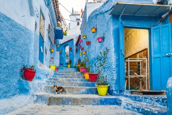 Typical Moroccan Narrow Street Chefchaouen Blue City Medina Morocco Blue — Stock Photo, Image