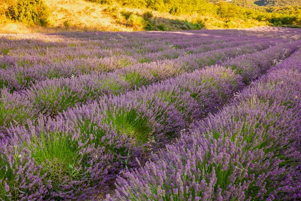 Lavanderias Provence Francia Europa — Fotografia de Stock