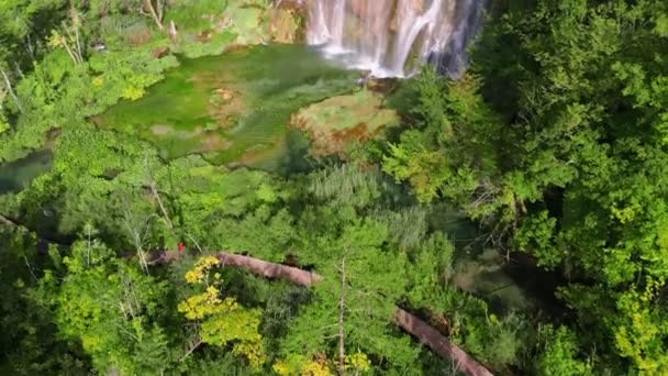 Aerial view of Croatian nature — Stock Video