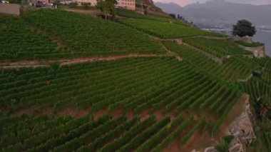  Vaud İsviçre 'nin Cenevre Kantonu