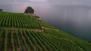  Vaud İsviçre 'nin Cenevre Kantonu