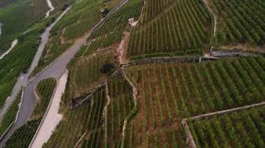  Vaud İsviçre 'nin Cenevre Kantonu