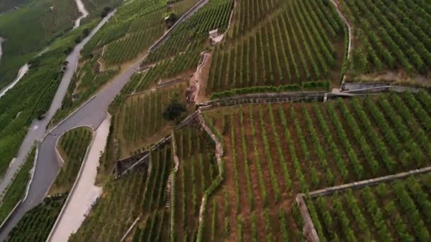 Lago de Ginebra Cantón de Vaud Suiza — Vídeos de Stock