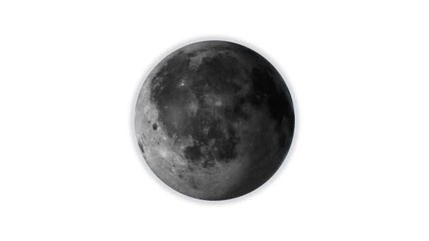 Moon rotates, isolated on white background — Stock Video