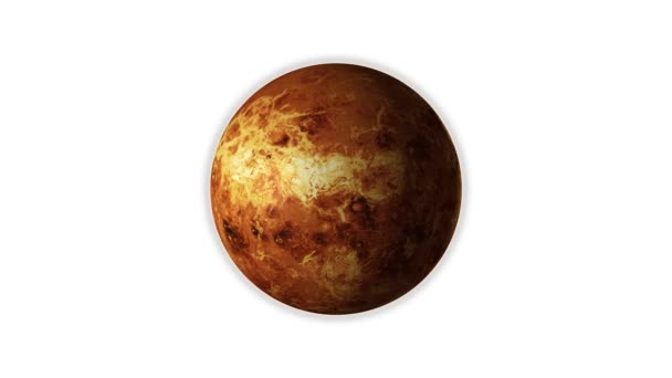 Planet Venus rotiert, isoliert auf weißem Hintergrund — Stockvideo