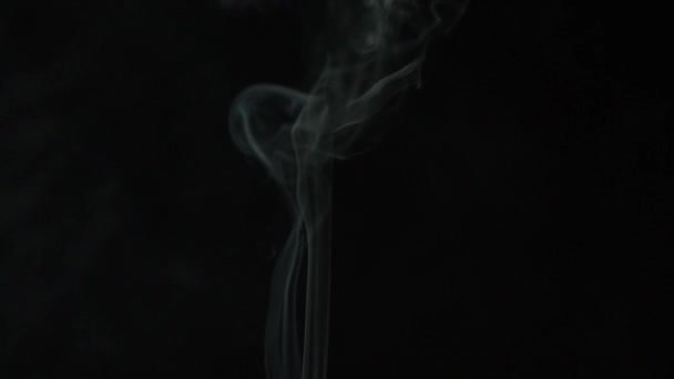 细线烟雾美丽的黑色背景扭动 慢动作 — 图库视频影像