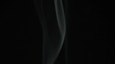 siyah arka planda güzel kıvranan duman ince çizgiler, yavaş hareket, yakın