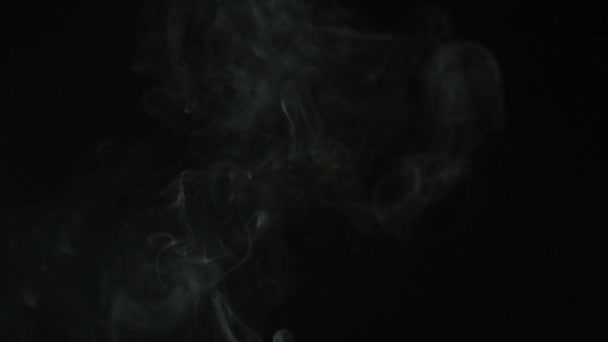 细线烟雾美丽的黑色背景扭动 慢动作 — 图库视频影像