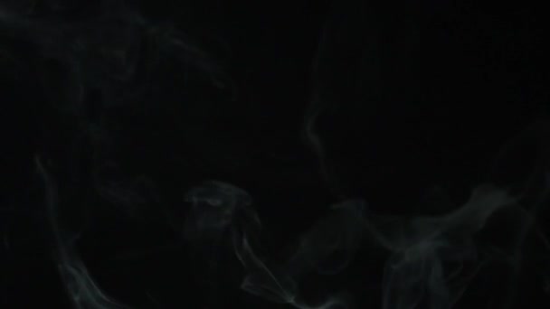 Feine Rauchschwaden Auf Schwarzem Hintergrund Zeitlupe Nahaufnahme — Stockvideo