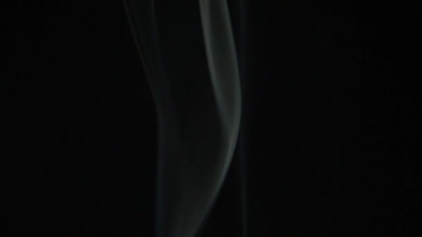 Тонкие Линии Дыма Красиво Корчатся Черном Фоне Замедленная Съемка Закрыть — стоковое видео