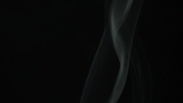 Тонкие Линии Дыма Красиво Корчатся Черном Фоне Замедленная Съемка Закрыть — стоковое видео