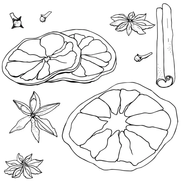 Épices pour vin chaud dans le vecteur — Image vectorielle