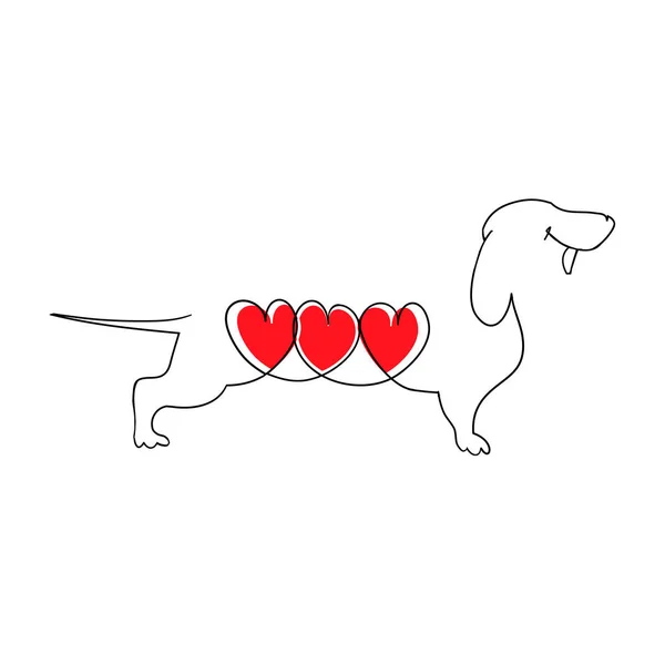 Такса с тремя сердцами. Мультфильм о любви. Собачье сердце. Векторная иллюстрация в плоском стиле. Векторная иллюстрация, нарисованная вручную на белом, логотипе, рисунке футболки . — стоковый вектор