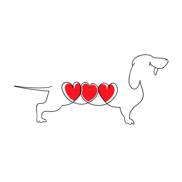 Dachshund üç yürekleri. Çizgi film Dachshund aşık. Kalp bir köpek. Vektör çizim düz tarzı. Elle çizilmiş vektör illüstrasyon izole beyaz, logo, t-shirt tasarım.