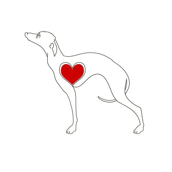Hunderasse Windhund. Lineares Bild. Tätowierter Hund mit Herz. — Stockvektor