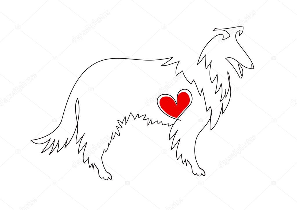 Collie dog. Linear image. Tattoo dog with heart.