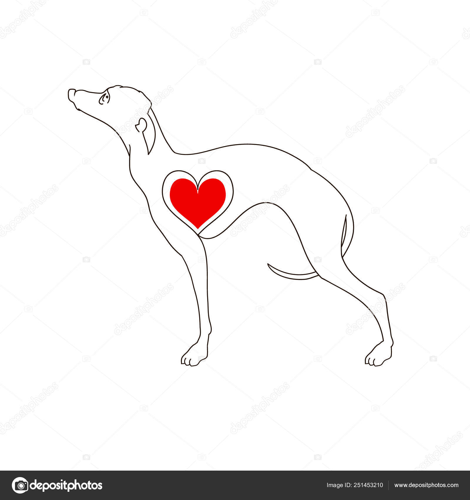 Dog breed Greyhound. Linear image. Tattoo dog with heart. Hand drawn vector illustration isolated on white, logo, t-shirt design Stock Vector Image by ©Dalinas #251453210 Dog breed Greyhound. Linear image. Tattoo dog with heart. Hand drawn vector illustration isolated on white, logo, t-shirt design Stock Vector Image by ©Dalinas #251453210