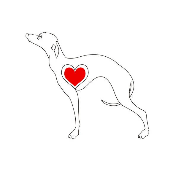 Hunderasse Windhund. Lineares Bild. Tätowierter Hund mit Herz. handgezeichnete Vektor-Illustration isoliert auf weiß, Logo, T-Shirt-Design — Stockvektor