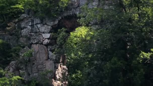 Vecchio Ponte Pietra Castello Laxenburg Austria Sparato Dalla Barca Movimento — Video Stock